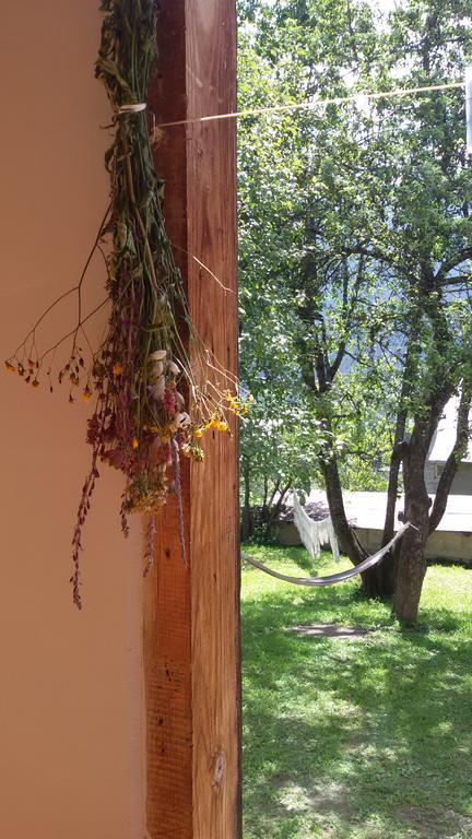 Guesthouse Mountain View Mestia Exterior foto